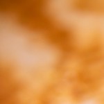 Traditional,Empanada,With,Tuna,And,Vegetables.