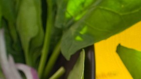 Crédito: Shutterstock.