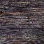 Gratinado de lentejas