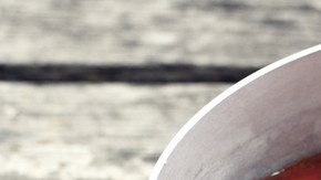 Crédito: Shutterstock.