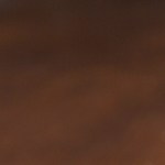 Tortilla,With,Pulled,Beef,Meat,,Onion,And,Tomato,Serving,On