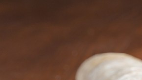 Tortilla,With,Pulled,Beef,Meat,,Onion,And,Tomato,Serving,On