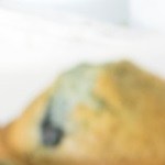 muffins de arándanos