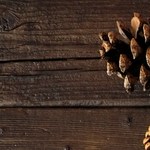 Pizza de calabaza y cebolla caramelizada