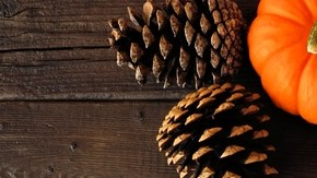 Pizza de calabaza y cebolla caramelizada