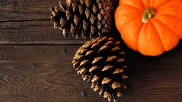 Pizza de calabaza y cebolla caramelizada