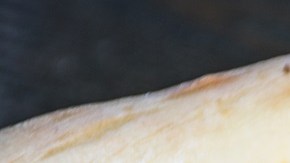 Pizza de Espinacas y Alcachofa