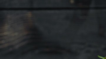 pimientos rellenos de lentejas