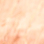 curry de lentejas con verduras