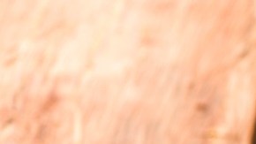 curry de lentejas con verduras