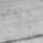 Wrap de Vegetales a la Parrilla