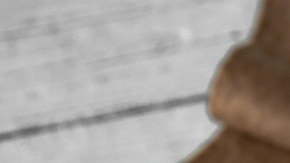 Wrap de Vegetales a la Parrilla