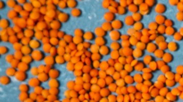 curry de lentejas con leche de coco