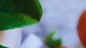 dip de espinacas con queso