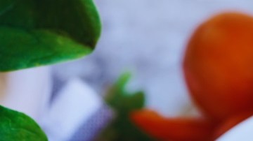 dip de espinacas con queso