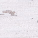 Ensalada de lentejas y pollo, paso a paso