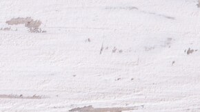 Ensalada de lentejas y pollo, paso a paso