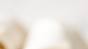 Wrap de Pollo Tandoori