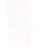 Wrap de Salmón ahumado