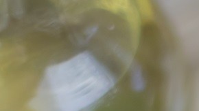 Aderezo de Almendras y Ajo