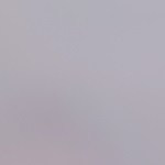 rollitos de espinacas y ricotta