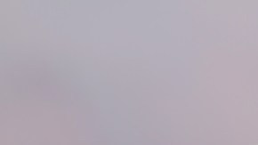 rollitos de espinacas y ricotta