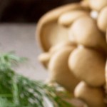 Crédito: Shutterstock.