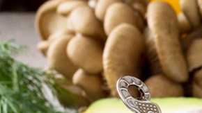 Crédito: Shutterstock.