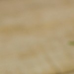 Wrap de garbanzos vegano