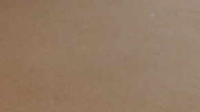 Crédito: Shutterstock