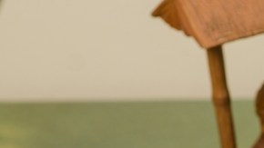 Crédito: Shutterstock