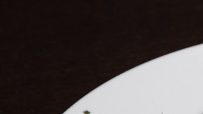 Crédito: Shutterstock