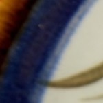 Crédito: Shutterstock