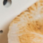 costillas de cerdo al horno con miel y mostaza