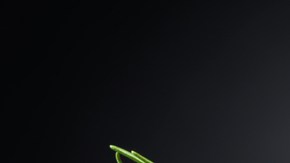 Crédito: Shutterstock