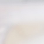 Crédito: Shutterstock