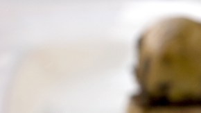 Crédito: Shutterstock