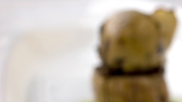 Crédito: Shutterstock