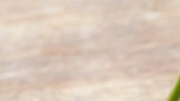 Photo © 2019 The Grosby Group

Chilaquiles en salsa roja