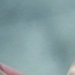 Crédito: Shutterstock