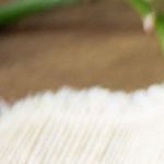 avena horneada de chocolate