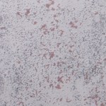 Crédito: Shutterstock