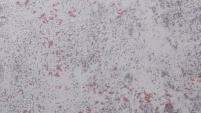 Crédito: Shutterstock