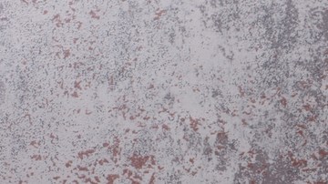 Crédito: Shutterstock