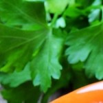 Crédito: Shutterstock