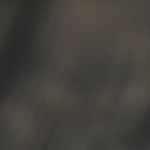 brochetas de calamares