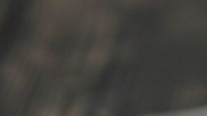 brochetas de calamares