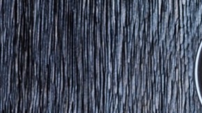 Costillas de Cerdo al Horno con Salsa de Ciruelas