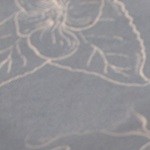 Mero en Salsa de Vino Blanco