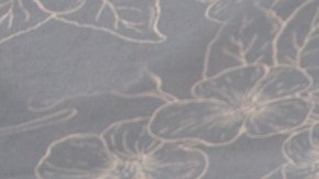 Mero en Salsa de Vino Blanco